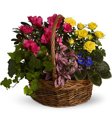 Blooming Garden Basket from Visser's Florist and Greenhouses in Anaheim, CA